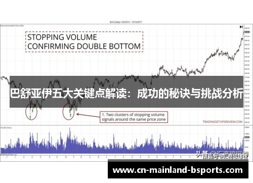 巴舒亚伊五大关键点解读：成功的秘诀与挑战分析