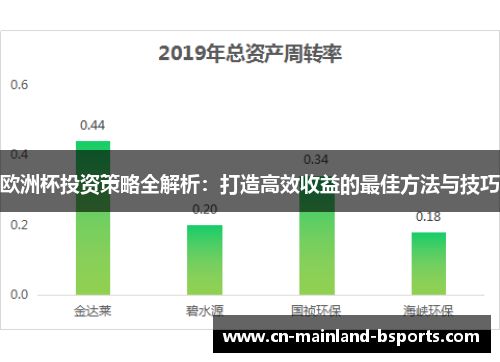 欧洲杯投资策略全解析：打造高效收益的最佳方法与技巧