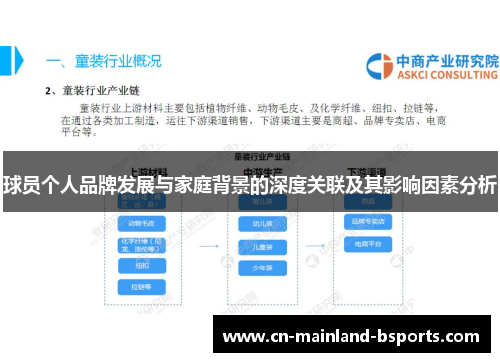 球员个人品牌发展与家庭背景的深度关联及其影响因素分析