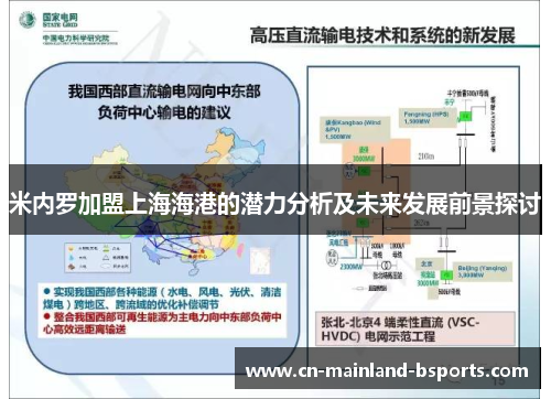 米内罗加盟上海海港的潜力分析及未来发展前景探讨