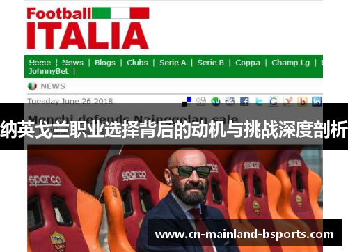 纳英戈兰职业选择背后的动机与挑战深度剖析