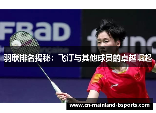 羽联排名揭秘：飞汀与其他球员的卓越崛起
