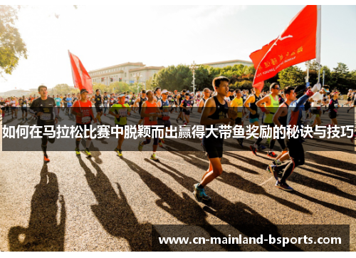 如何在马拉松比赛中脱颖而出赢得大带鱼奖励的秘诀与技巧