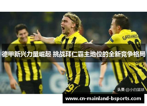 德甲新兴力量崛起 挑战拜仁霸主地位的全新竞争格局 德甲新兴力量崛起 挑战拜仁霸主地位的全新竞争格局