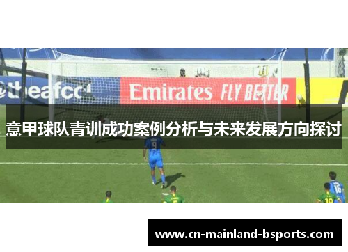 意甲球队青训成功案例分析与未来发展方向探讨