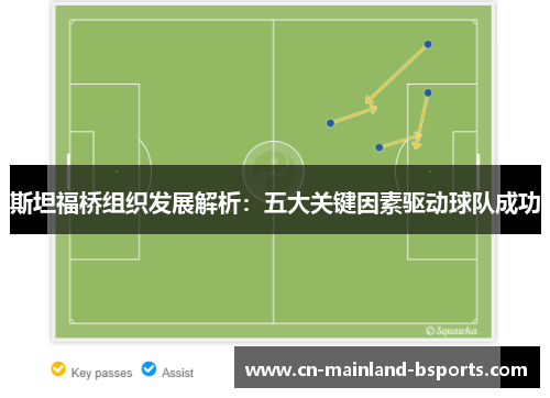 斯坦福桥组织发展解析:五大关键因素驱动球队成功 斯坦福桥组织发展解析:五大关键因素驱动球队成功