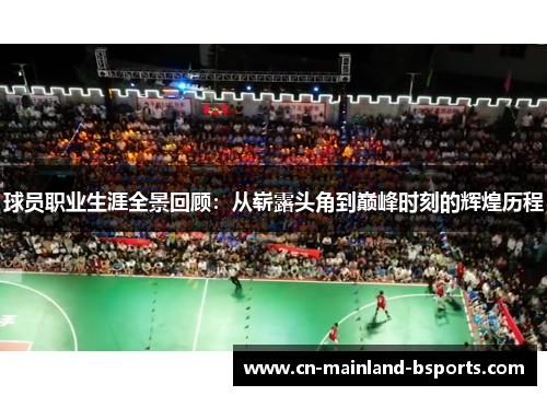 球员职业生涯全景回顾：从崭露头角到巅峰时刻的辉煌历程