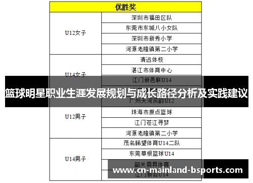 篮球明星职业生涯发展规划与成长路径分析及实践建议