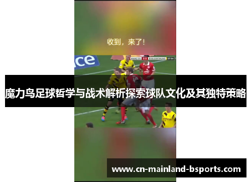 魔力鸟足球哲学与战术解析探索球队文化及其独特策略
