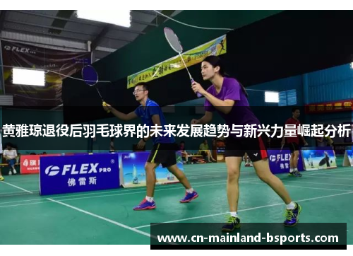 黄雅琼退役后羽毛球界的未来发展趋势与新兴力量崛起分析