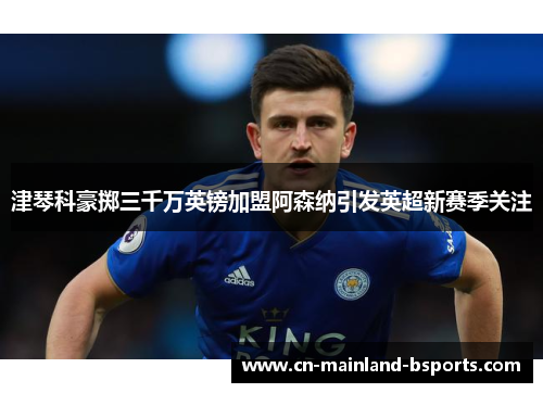 津琴科豪掷三千万英镑加盟阿森纳引发英超新赛季关注 津琴科豪掷三千万英镑加盟阿森纳引发英超新赛季关注