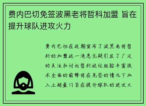 费内巴切免签波黑老将哲科加盟 旨在提升球队进攻火力